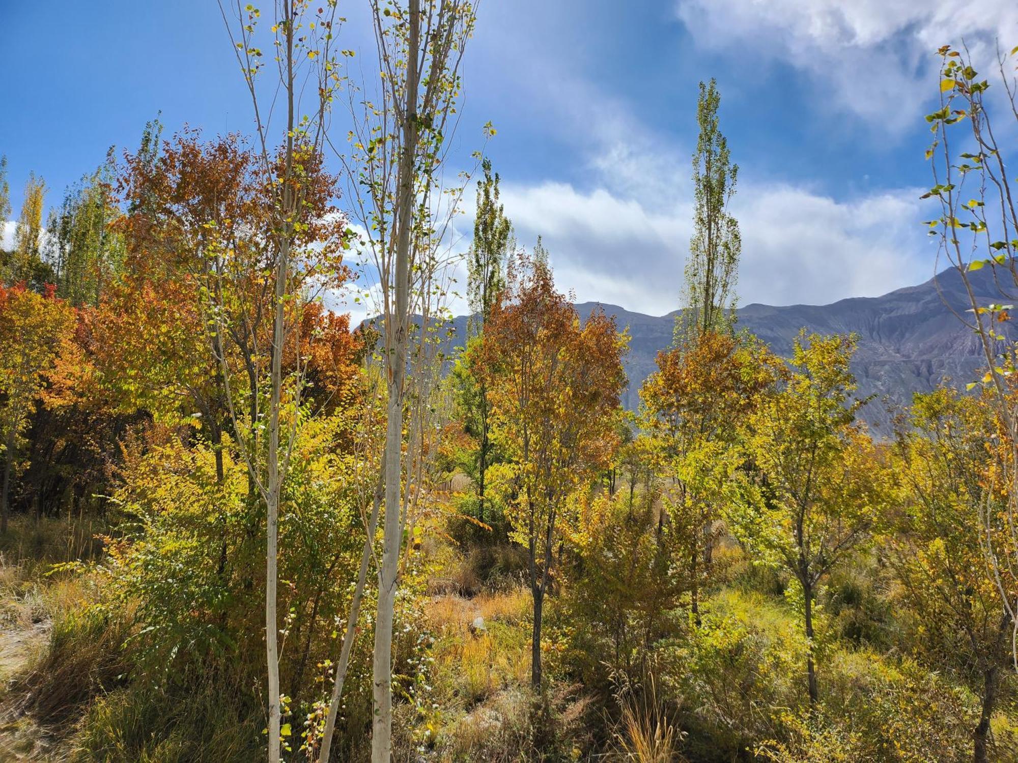 Lharimo Hotel Leh - Ladakh Luaran gambar