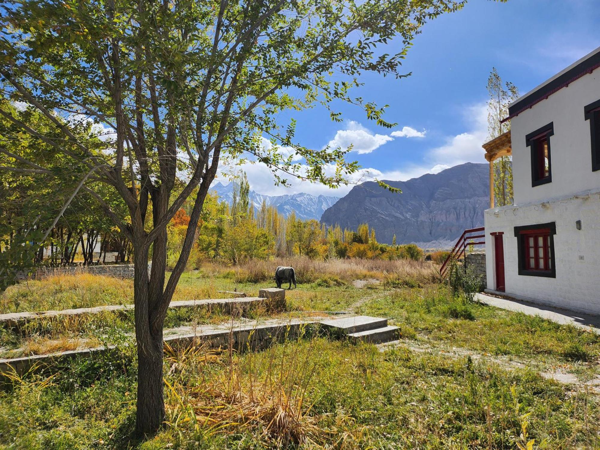 Lharimo Hotel Leh - Ladakh Luaran gambar