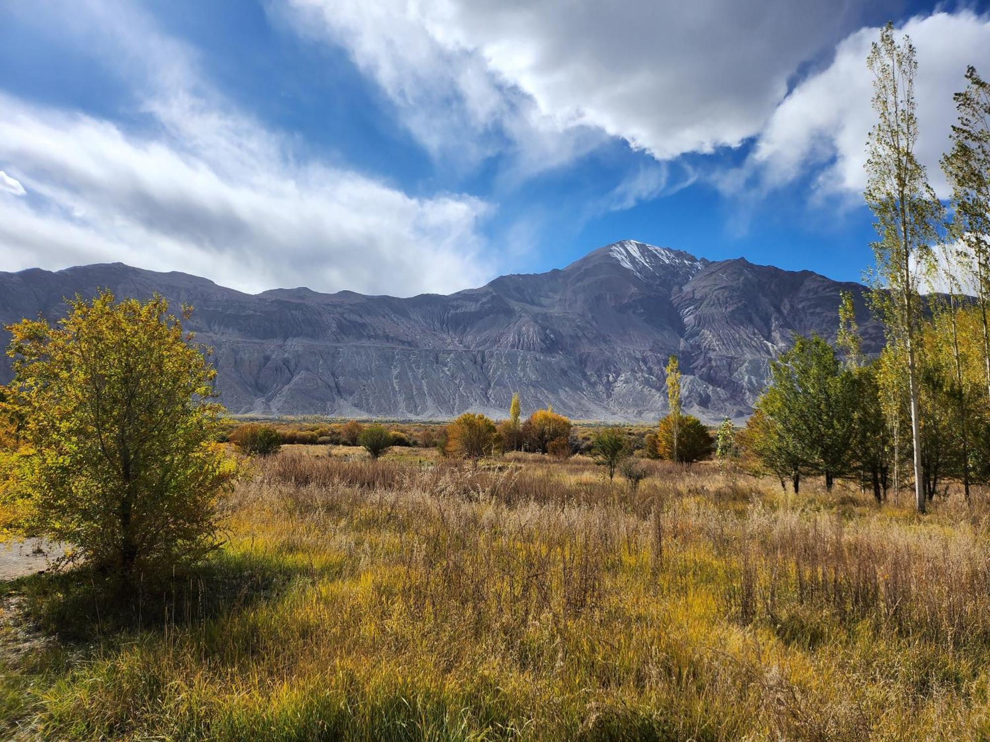 Lharimo Hotel Leh - Ladakh Luaran gambar