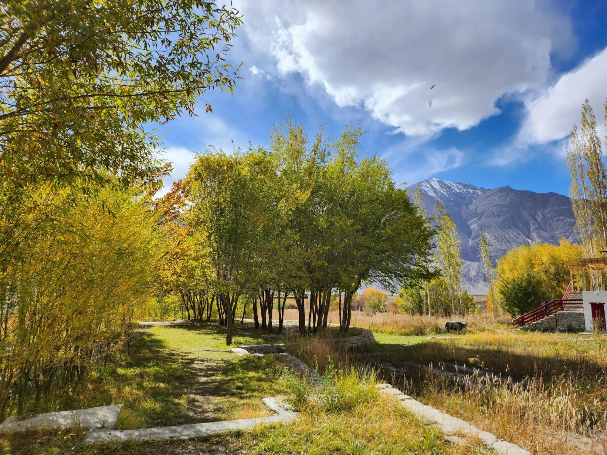 Lharimo Hotel Leh - Ladakh Luaran gambar