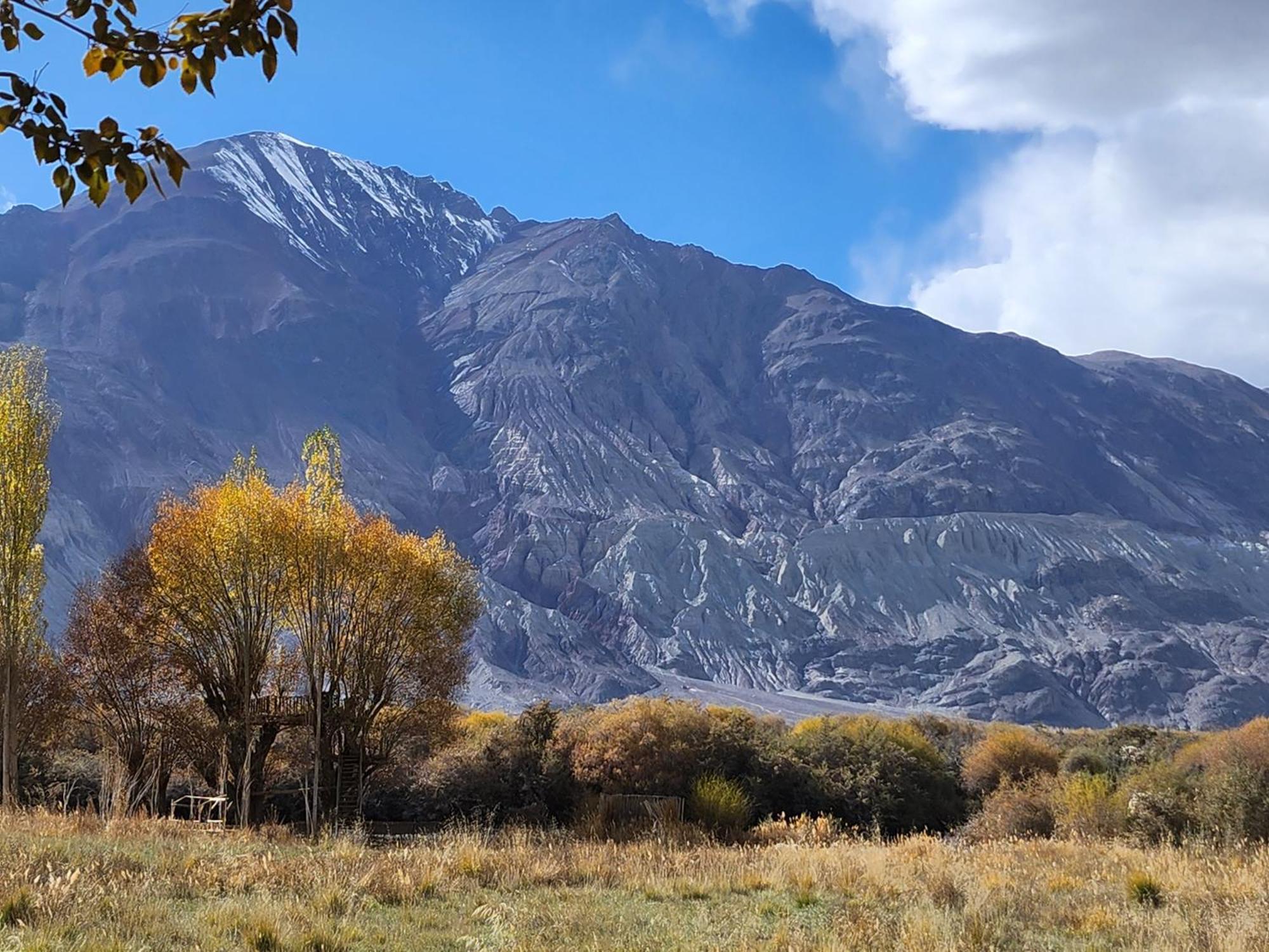 Lharimo Hotel Leh - Ladakh Luaran gambar