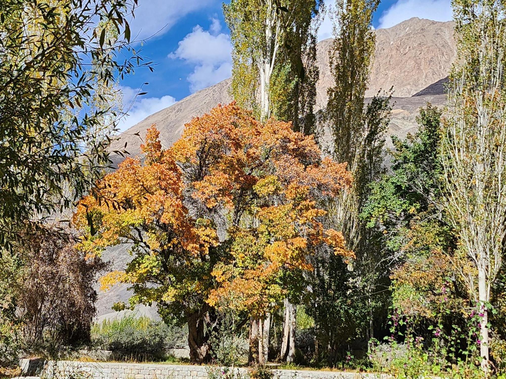 Lharimo Hotel Leh - Ladakh Luaran gambar