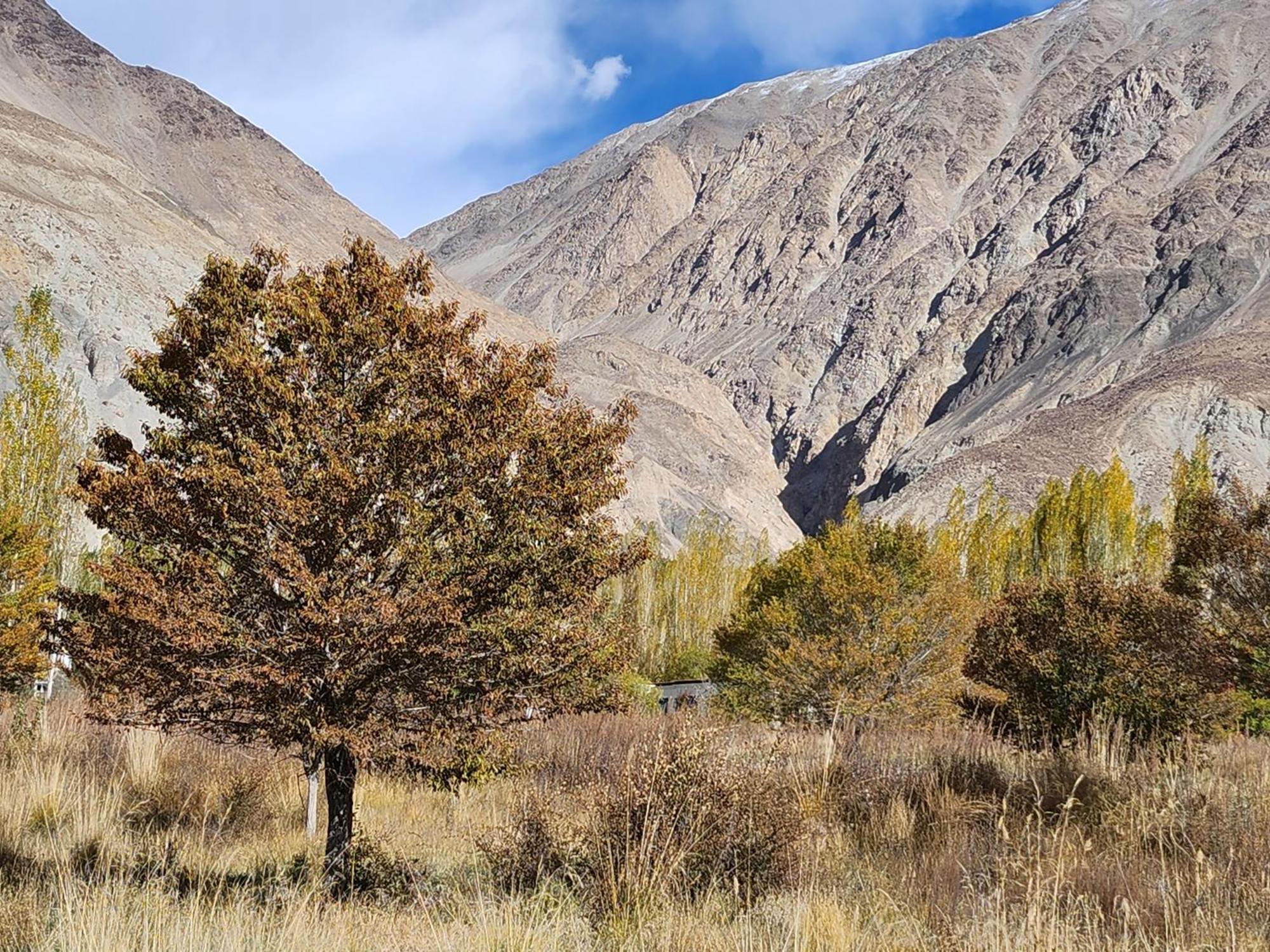 Lharimo Hotel Leh - Ladakh Luaran gambar